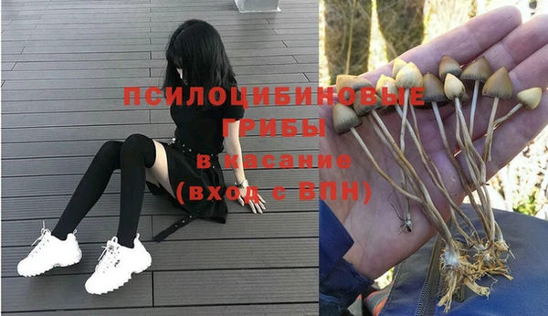 мяу мяу мука Алзамай
