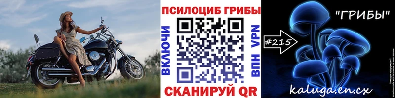 Галлюциногенные грибы мицелий  Елец 